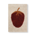 Matta, fruiticana - jordgubbe (storlek S)