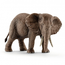 Afrikansk elefant - Hon