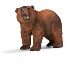 Grizzly björn