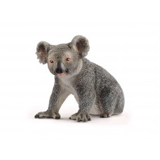 Koala björn