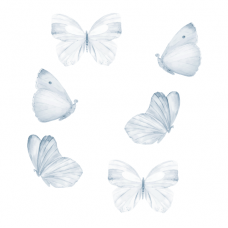 Wallstories - Blå fjärilar - set om 6