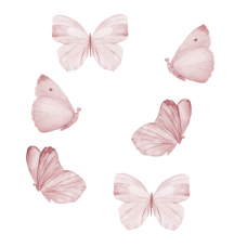 Wallstories - Rosa fjärilar - set om 6